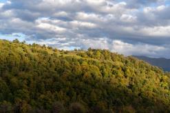 Dilidžan - Prodloužený víkend po Arménii (říjen 2024)