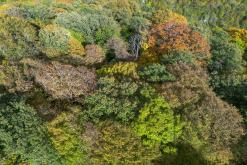 Dilidžan - Prodloužený víkend po Arménii (říjen 2024)