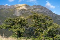 Dilidžan - Prodloužený víkend po Arménii (říjen 2024)