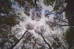 Dilidžan - Prodloužený víkend po Arménii (říjen 2024)