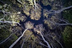 Dilidžan - Prodloužený víkend po Arménii (říjen 2024)