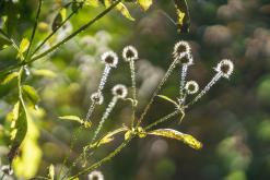 Dilidžan - Prodloužený víkend po Arménii (říjen 2024)