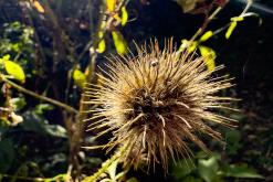 Dilidžan - Prodloužený víkend po Arménii (říjen 2024)