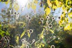 Dilidžan - Prodloužený víkend po Arménii (říjen 2024)