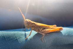 Dilidžan - Prodloužený víkend po Arménii (říjen 2024)