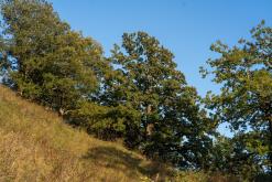 Dilidžan - Prodloužený víkend po Arménii (říjen 2024)