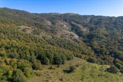 Dilidžan - Prodloužený víkend po Arménii (říjen 2024)