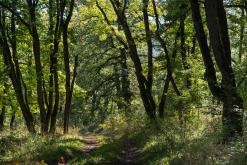 Dilidžan - Prodloužený víkend po Arménii (říjen 2024)