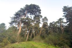 Dilidžan - Prodloužený víkend po Arménii (říjen 2024)