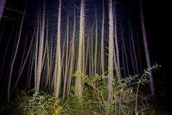 Dilidžan - Prodloužený víkend po Arménii (říjen 2024)