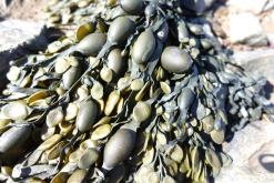 Bristol - březen 2017