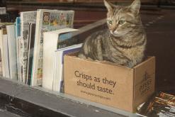 Bristol - březen 2017