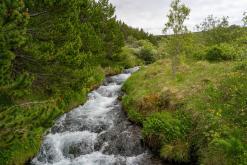 Húsavík - Týden po Islandu (červen 2025)