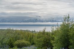 Húsavík - Týden po Islandu (červen 2025)