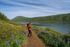 Húsavík - Týden po Islandu (červen 2025)