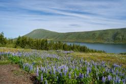 Húsavík - Týden po Islandu (červen 2025)