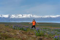Húsavík - Týden po Islandu (červen 2025)