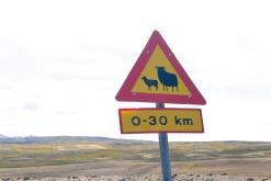 Húsavík - Týden po Islandu (červen 2025)