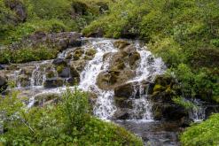 Vesturdalur - Týden po Islandu (červen 2025)