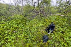 Vesturdalur - Týden po Islandu (červen 2025)