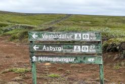 Vesturdalur - Týden po Islandu (červen 2025)