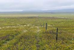 Mývatn - Týden po Islandu (červen 2025)