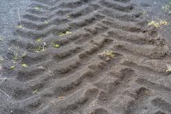 Mývatn - Týden po Islandu (červen 2025)