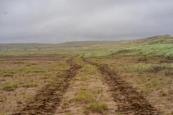 Mývatn - Týden po Islandu (červen 2025)