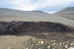 Mývatn - Týden po Islandu (červen 2025)