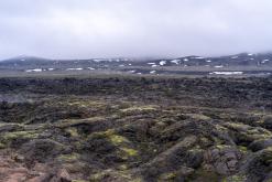 Mývatn - Týden po Islandu (červen 2025)