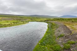 Vaglaskógur - Týden po Islandu (červen 2025)