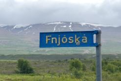 Vaglaskógur - Týden po Islandu (červen 2025)