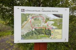 Vaglaskógur - Týden po Islandu (červen 2025)