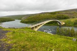 Vaglaskógur - Týden po Islandu (červen 2025)