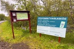Vaglaskógur - Týden po Islandu (červen 2025)