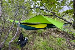 Vaglaskógur - Týden po Islandu (červen 2025)