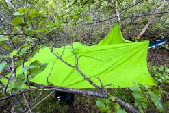 Vaglaskógur - Týden po Islandu (červen 2025)