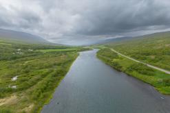 Vaglaskógur - Týden po Islandu (červen 2025)