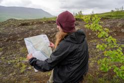 Vaglaskógur - Týden po Islandu (červen 2025)