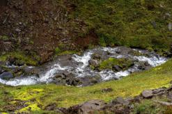 Vaglaskógur - Týden po Islandu (červen 2025)