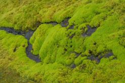 Akureyri - Týden po Islandu (červen 2025)