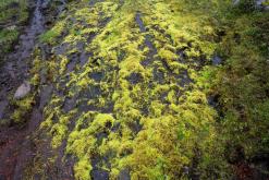 Akureyri - Týden po Islandu (červen 2025)