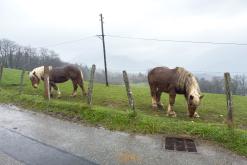Thonon-les-Bains, Ženevské jezero - Víkend v Alpách (březen 2025)