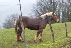 Thonon-les-Bains, Ženevské jezero - Víkend v Alpách (březen 2025)