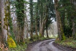 Thonon-les-Bains, Ženevské jezero - Víkend v Alpách (březen 2025)