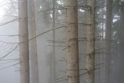 Thonon-les-Bains, Ženevské jezero - Víkend v Alpách (březen 2025)