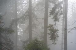 Thonon-les-Bains, Ženevské jezero - Víkend v Alpách (březen 2025)