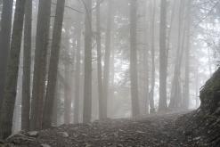 Thonon-les-Bains, Ženevské jezero - Víkend v Alpách (březen 2025)