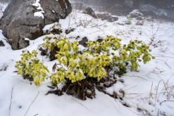 Thonon-les-Bains, Ženevské jezero - Víkend v Alpách (březen 2025)