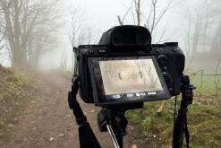 Thonon-les-Bains, Ženevské jezero - Víkend v Alpách (březen 2025)